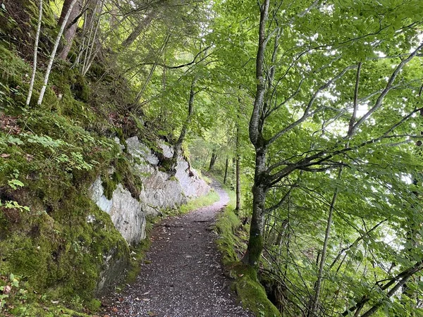Sentieri Passeggiate Escursioni Sport Tempo Libero Lungo Cascate Delle Cascate — Foto Stock