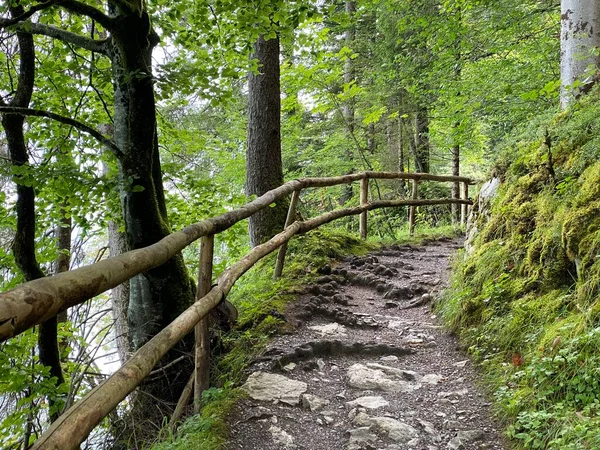 Trails for walking, hiking, sports and recreation along the waterfalls Giessbach Falls (Giessbachfalle oder Giessbachfaelle) and in the creek valley, Brienz - Canton of Bern, Switzerland / Kanton Bern, Schweiz