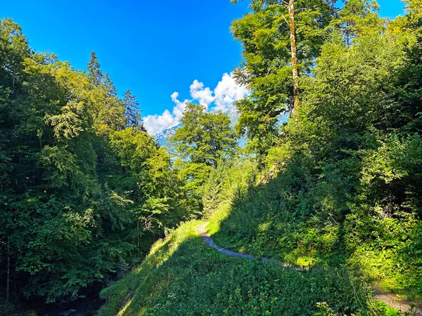 Trails for walking, hiking, sports and recreation along the waterfalls Giessbach Falls (Giessbachfalle oder Giessbachfaelle) and in the creek valley, Brienz - Canton of Bern, Switzerland / Kanton Bern, Schweiz