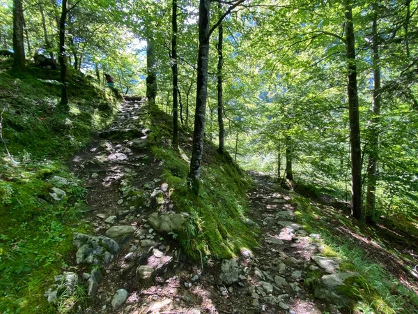 Trails for walking, hiking, sports and recreation along the waterfalls Giessbach Falls (Giessbachfalle oder Giessbachfaelle) and in the creek valley, Brienz - Canton of Bern, Switzerland / Kanton Bern, Schweiz