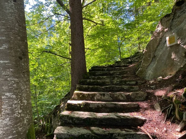 Trails for walking, hiking, sports and recreation along the waterfalls Giessbach Falls (Giessbachfalle oder Giessbachfaelle) and in the creek valley, Brienz - Canton of Bern, Switzerland / Kanton Bern, Schweiz