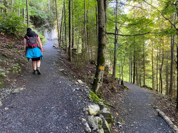 Giessbachfalle Oder Giessbachfaelle Şelalesi Boyunca Yürüyüş Yürüyüş Spor Dinlenme Yolları — Stok fotoğraf