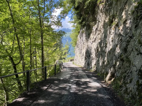오락을 열차들이 폭포를 Giessbachfalle Oder Giessbachfaelle 크리크 계곡의 브리엔 스위스 — 스톡 사진