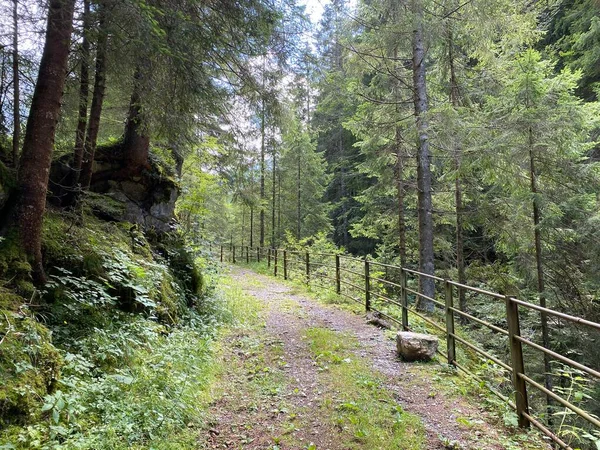 Trails for walking, hiking, sports and recreation along the waterfalls Giessbach Falls (Giessbachfalle oder Giessbachfaelle) and in the creek valley, Brienz - Canton of Bern, Switzerland / Kanton Bern, Schweiz