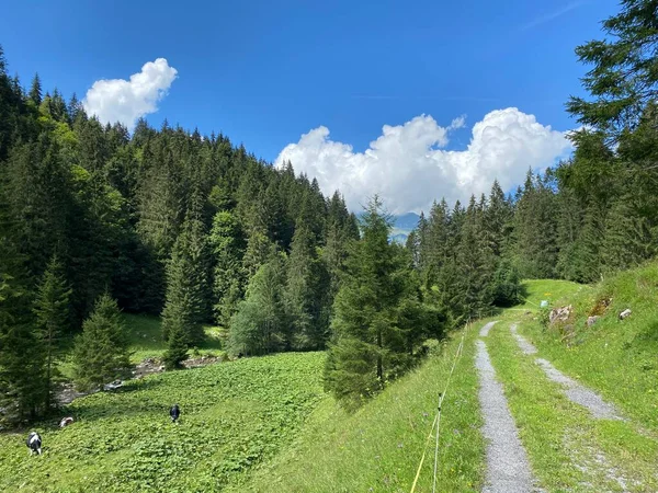 Trails for walking, hiking, sports and recreation along the waterfalls Giessbach Falls (Giessbachfalle oder Giessbachfaelle) and in the creek valley, Brienz - Canton of Bern, Switzerland / Kanton Bern, Schweiz