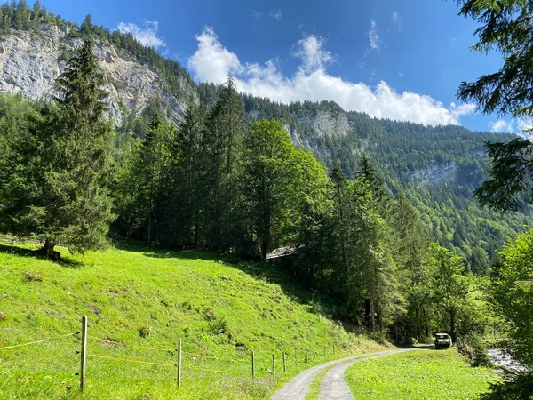 Trilhas Para Caminhadas Caminhadas Esportes Recreação Longo Das Cachoeiras Giessbach — Fotografia de Stock