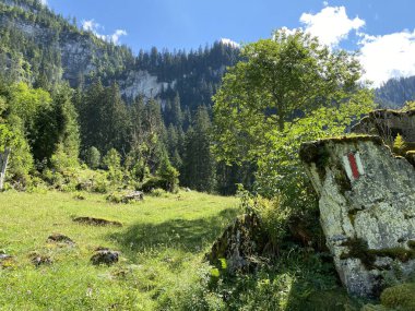 Giessbach Şelalesi (Giessbachfalle Oder Giessbachfaelle) ve dere vadisi Brienz - Bern Kantonu, İsviçre / Kanton Bern, Schweiz