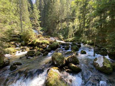 Brienz Gölü 'nün yukarısındaki Giessbach deresi (Brienzersee) ve İsviçre' nin Bern Kantonu (Kanton Bern, Schweiz) adlı doğa parkında)