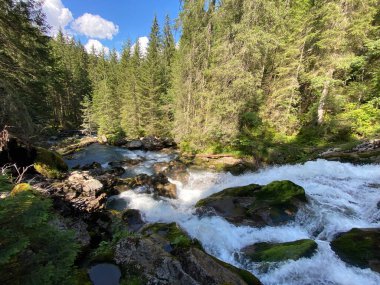 Brienz Gölü 'nün yukarısındaki Giessbach deresi (Brienzersee) ve İsviçre' nin Bern Kantonu (Kanton Bern, Schweiz) adlı doğa parkında)