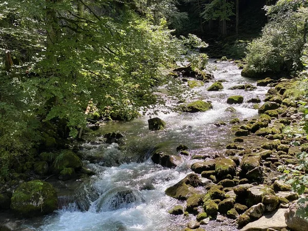 Giessbach Beek Boven Het Brienzermeer Het Gelijknamige Natuurpark Kanton Bern — Stockfoto