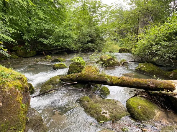 Giessbachův Potok Nad Jezerem Brienz Brienzersee Stejnojmenném Přírodním Parku Kanton — Stock fotografie