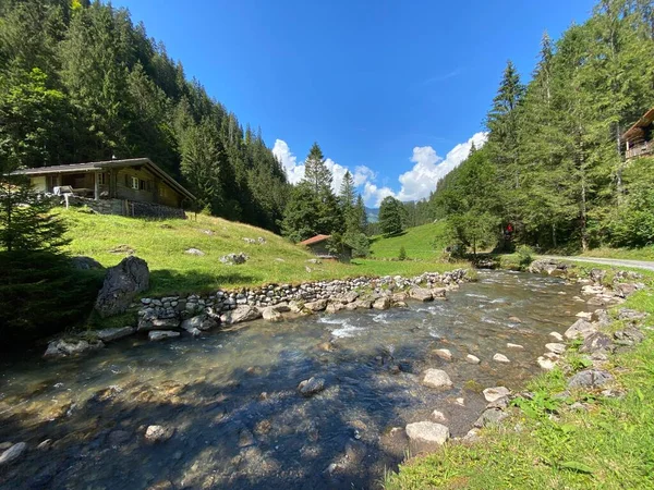 Arroyo Giessbach Sobre Lago Brienz Brienzersee Parque Natural Del Mismo —  Fotos de Stock