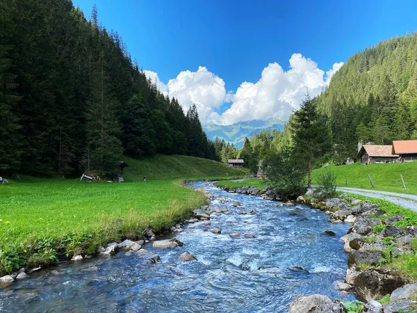 Brienz Gölü 'nün yukarısındaki Giessbach deresi (Brienzersee) ve İsviçre' nin Bern Kantonu (Kanton Bern, Schweiz) adlı doğa parkında)