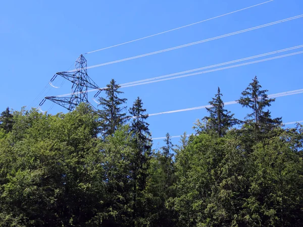 Ökológia Energia Előtt Vegyes Szubalpin Erdő Elektromos Vezeték Fémszerkezete Körül — Stock Fotó