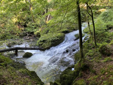 Gleichnamigen Naturpark und ueber dem Brienzersee - Bern Kantonu, İsviçre (Schweiz)