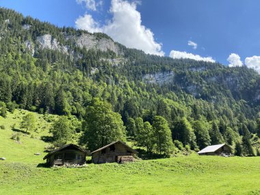 Geleneksel kırsal mimari ve aile çiftlik hayvanları Giessbach Doğa Parkı ve dağ sıraları Bernese Alpleri, Brienz - Bern Kantonu, İsviçre (Kanton Bern, Schweiz)