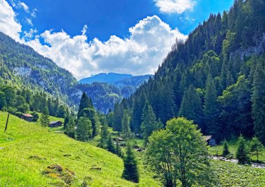Giessbach Doğa Parkı 'ndaki çayırlarda ve dağ yamaçlarında Bern Kantonu (Kanton Bern, Schweiz)