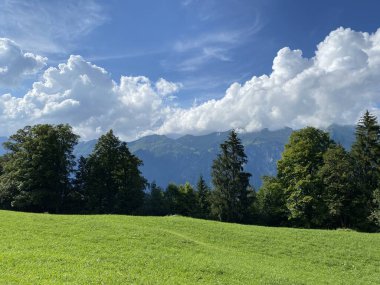 Giessbach Doğa Parkı 'ndaki çayırlarda ve dağ yamaçlarında Bern Kantonu (Kanton Bern, Schweiz)