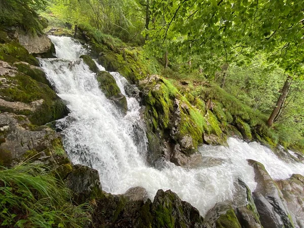 代表的な自然公園のジェスバッハの滝とブリエンツ湖 ジェスバッハの滝 Giessbach Faelle Glichnamigen Naturpark Und Ueber Dem Brienzersee — ストック写真