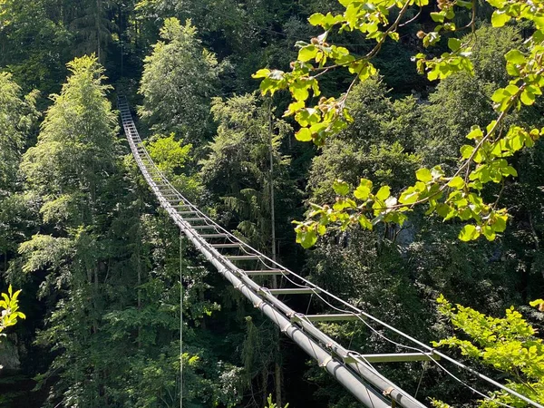 Conservação Natureza Consciência Ambiental Tubulações Água Esgoto Através Cânion Córrego — Fotografia de Stock