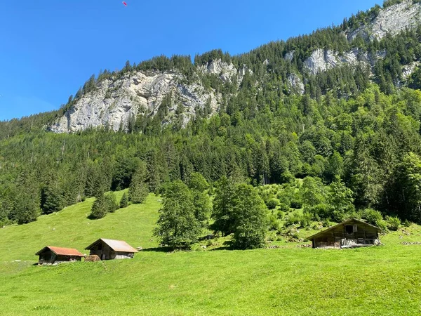 Arquitectura Rural Tradicional Explotaciones Ganaderas Familiares Pastos Parque Natural Giessbach — Foto de Stock