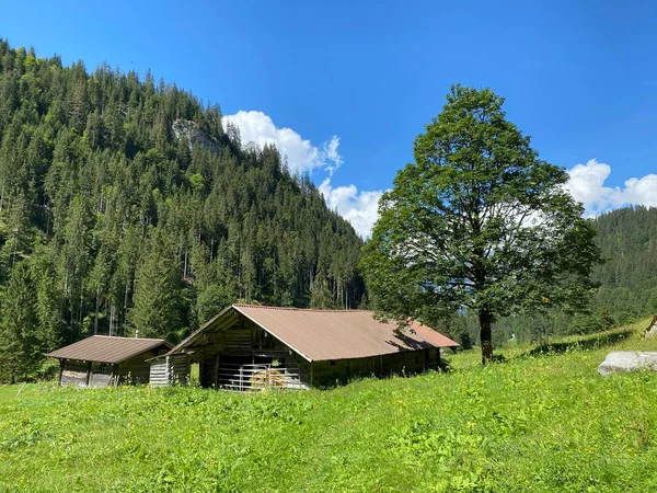 ジェッスバッハ自然公園と山脈の牧草地にある伝統的な農村建築と家族の家畜農場ベルネス アルプス ブリエンツ スイスのベルン州 カントン バーン スイス — ストック写真