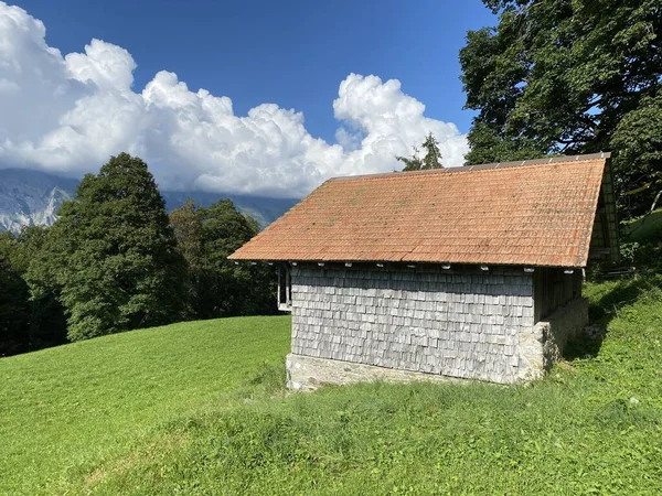 ジェッスバッハ自然公園と山脈の牧草地にある伝統的な農村建築と家族の家畜農場ベルネス アルプス ブリエンツ スイスのベルン州 カントン バーン スイス — ストック写真