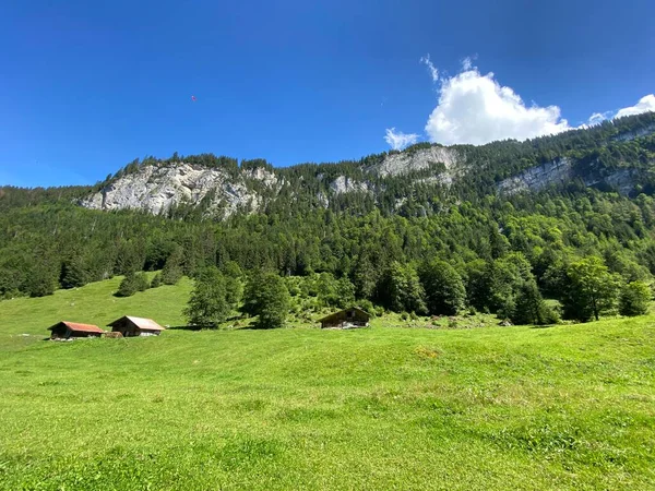 Alpine Meadows Pastures Giessbach Nature Park Slopes Mountain Massif Bernese — Stock Photo, Image