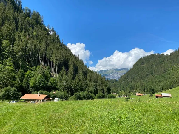ジェッスバッハ自然公園や山塊の斜面にあるアルプスの牧草地と牧草地 Bernese Alps Brienz Canton Bern Switzerland カントン バーン スイス — ストック写真