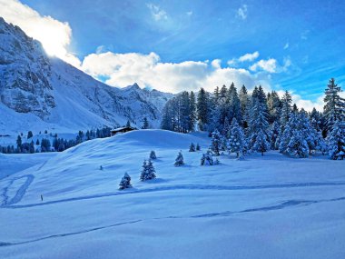 Appenzell Alpleri 'ndeki Alpstein sıradağlarında gizemli kış atmosferi, Schwaegalp dağ geçidi - Appenzell Ausserrhoden Kantonu, İsviçre
