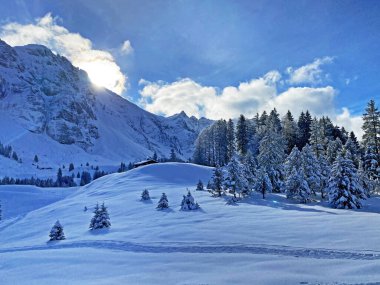 Appenzell Alpleri 'ndeki Alpstein sıradağlarında gizemli kış atmosferi, Schwaegalp dağ geçidi - Appenzell Ausserrhoden Kantonu, İsviçre