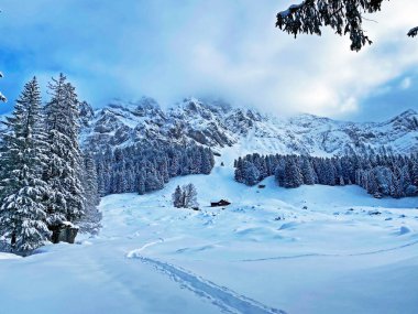 Appenzell Alpleri 'ndeki Alpstein sıradağlarında gizemli kış atmosferi, Schwaegalp dağ geçidi - Appenzell Ausserrhoden Kantonu, İsviçre