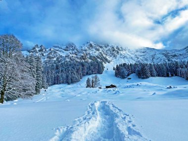 Appenzell Alpleri 'ndeki Alpstein sıradağlarında gizemli kış atmosferi, Schwaegalp dağ geçidi - Appenzell Ausserrhoden Kantonu, İsviçre
