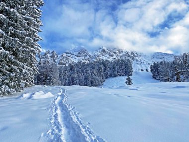 Appenzell Alpleri 'ndeki Alpstein sıradağlarında gizemli kış atmosferi, Schwaegalp dağ geçidi - Appenzell Ausserrhoden Kantonu, İsviçre