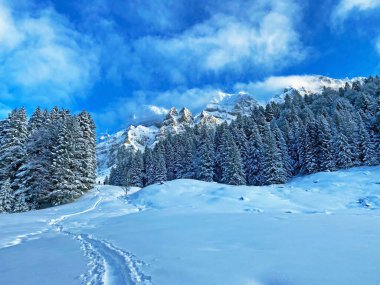 Appenzell Alpleri 'ndeki Alpstein sıradağlarında gizemli kış atmosferi, Schwaegalp dağ geçidi - Appenzell Ausserrhoden Kantonu, İsviçre