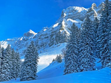 Appenzell Alpleri 'ndeki Alpstein sıradağlarında gizemli kış atmosferi, Schwaegalp dağ geçidi - Appenzell Ausserrhoden Kantonu, İsviçre