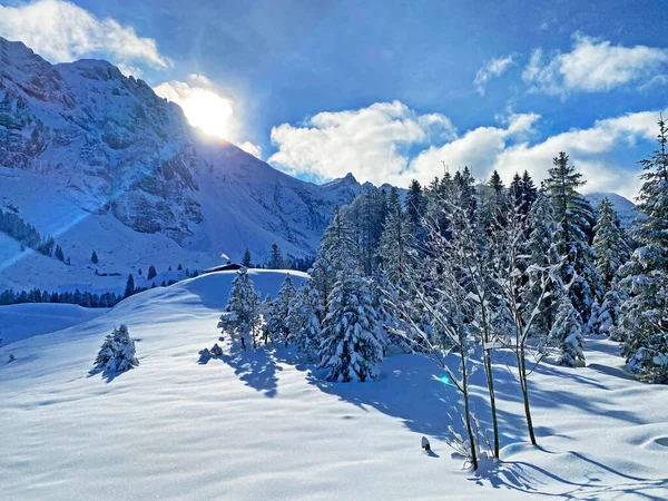 알프스 산괴에 알프스 산맥의 Schwaegalp Mountain Pass Canton Appenzell Ausserrhoden — 스톡 사진