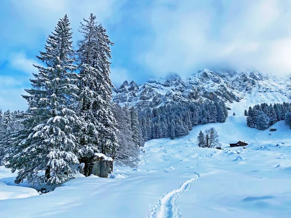 Ambiente Místico Invierno Cordillera Alpstein Macizo Los Alpes Appenzell Paso —  Fotos de Stock