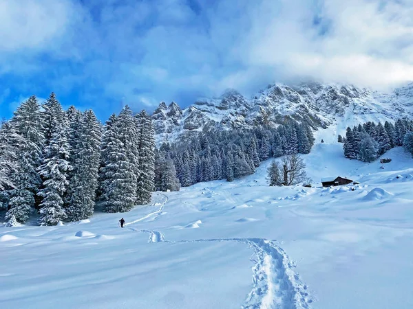 Mystická Zimní Atmosféra Pohoří Alpstein Masivu Appenzell Alpy Horský Průsmyk — Stock fotografie