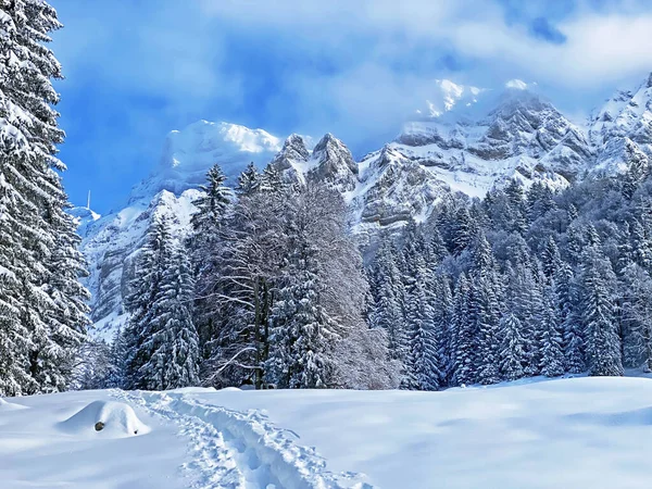 Ambiente Místico Invierno Cordillera Alpstein Macizo Los Alpes Appenzell Paso —  Fotos de Stock