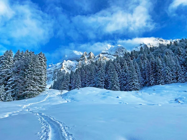 Ambiente Místico Invierno Cordillera Alpstein Macizo Los Alpes Appenzell Paso —  Fotos de Stock