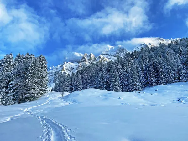 アルプス山脈のアルプス山脈の神秘的な冬の雰囲気 シュヴァエガルプ山の峠 カントン Ausserroden Switzerland — ストック写真