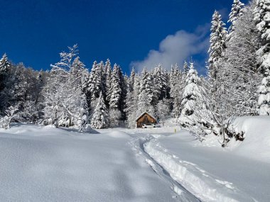 Idyllic İsviçre dağ kulübeleri kışlık giysiler içinde ve kar örtüsü içinde, Schwaegalp dağ geçidi - Appenzell Ausserrhoden Kantonu, İsviçre