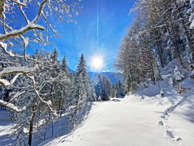Schwaegalp dağ geçidi, Appenzell Ausserrhoden Kantonu, İsviçre 'de, saf beyaz kar örtüsü üzerinde sihirli bir ışık ve gölge oyunu.