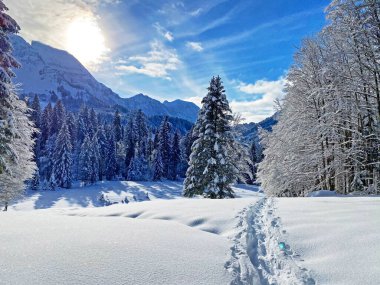 Schwaegalp dağ geçidi, Appenzell Ausserrhoden Kantonu, İsviçre 'de, saf beyaz kar örtüsü üzerinde sihirli bir ışık ve gölge oyunu.