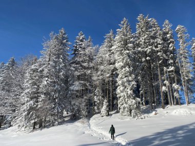 İsviçre Alpleri, Schwaegalp dağ geçidi üzerinde yürüyen yürüyüşçüler ve yürüyüşçüler - Appenzell Ausserrhoden Kantonu, İsviçre / Schweiz