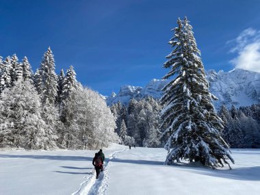 İsviçre Alpleri, Schwaegalp dağ geçidi üzerinde yürüyen yürüyüşçüler ve yürüyüşçüler - Appenzell Ausserrhoden Kantonu, İsviçre / Schweiz
