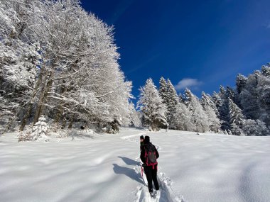 İsviçre Alpleri, Schwaegalp dağ geçidi üzerinde yürüyen yürüyüşçüler ve yürüyüşçüler - Appenzell Ausserrhoden Kantonu, İsviçre / Schweiz