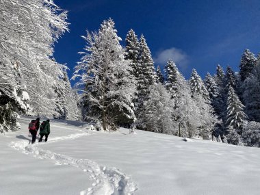İsviçre Alpleri, Schwaegalp dağ geçidi üzerinde yürüyen yürüyüşçüler ve yürüyüşçüler - Appenzell Ausserrhoden Kantonu, İsviçre / Schweiz