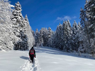 İsviçre Alpleri, Schwaegalp dağ geçidi üzerinde yürüyen yürüyüşçüler ve yürüyüşçüler - Appenzell Ausserrhoden Kantonu, İsviçre / Schweiz